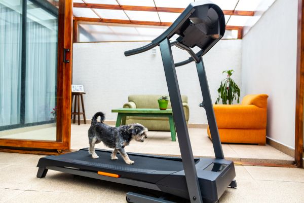 Treadmill Installation in Falls Church