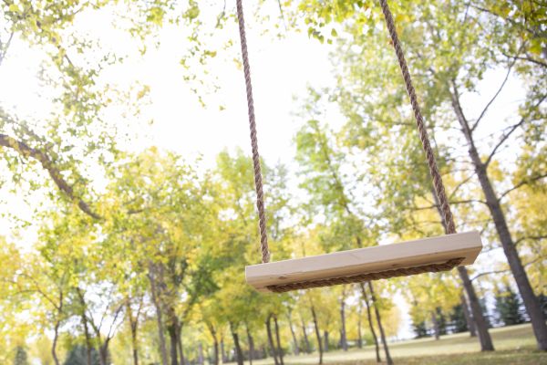 Tree Swing Installation in Falls Church
