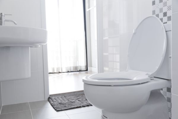 Toilet Seat Installation in Falls Church
