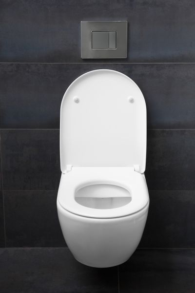 Toilet Lid Installation in Falls Church