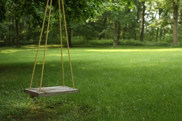 Rope Swing Installation in Falls Church