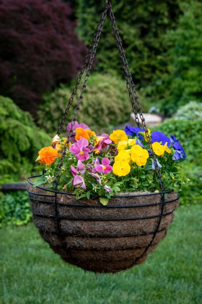 Hanging Basket Installation in Falls Church
