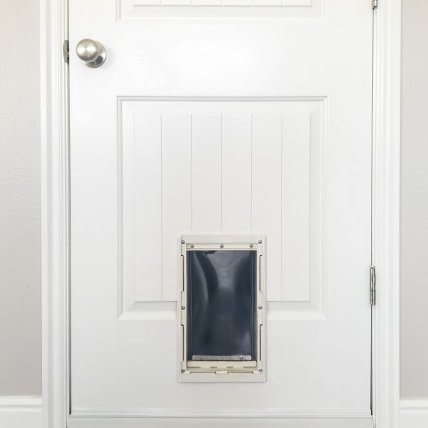 Pet Door Repair in Falls Church