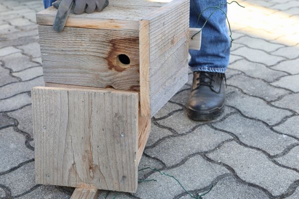 Birdhouse Mounting in Falls Church